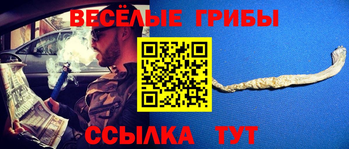 Вязники  Галлюциногенные грибы MAGIC MUSHROOMS  Вход с VPN 